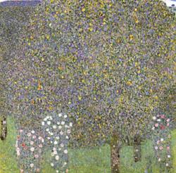 Gustav Klimt Rose Bushes Under the Trees oil painting image